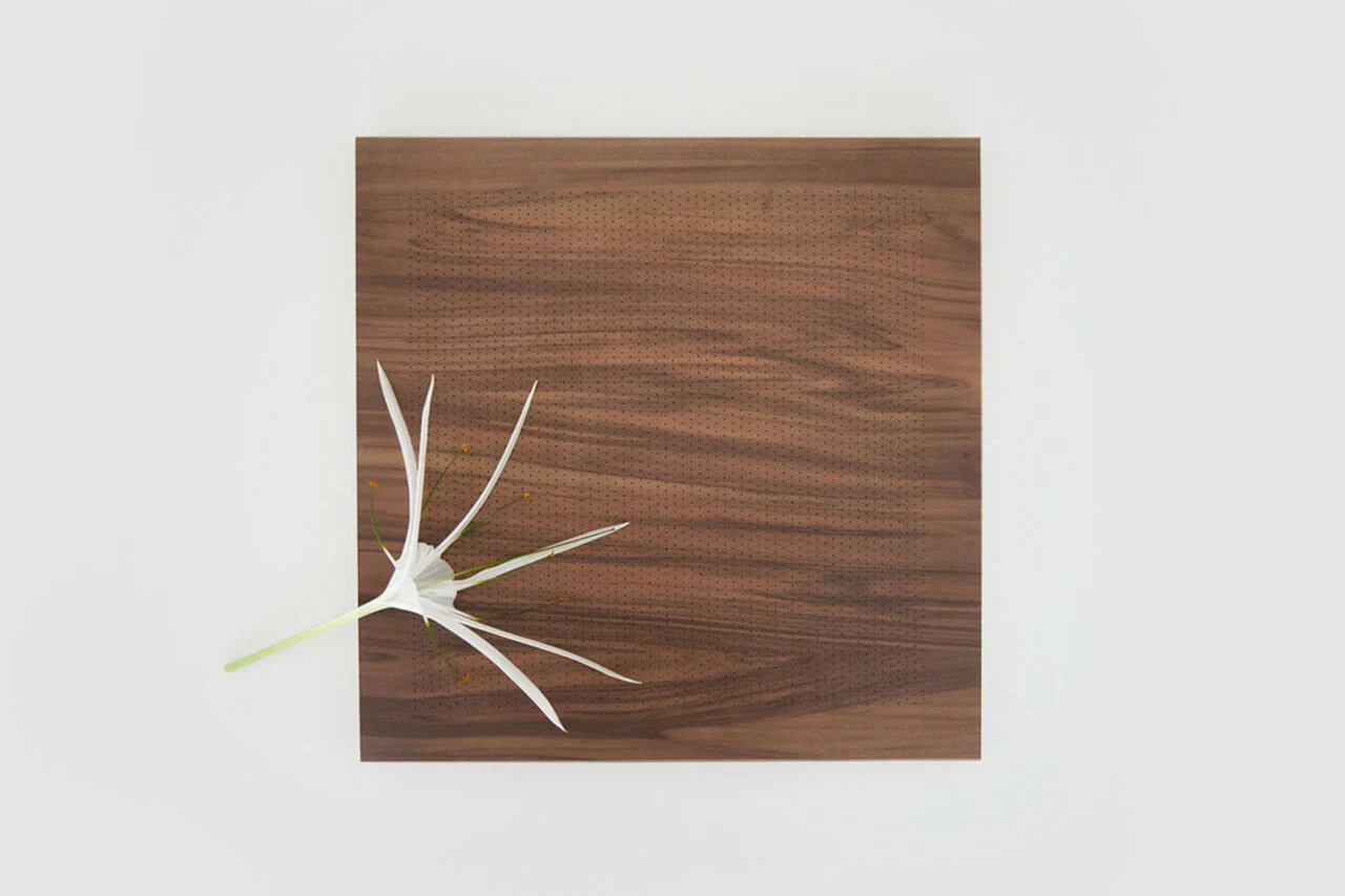 A single white flower with long, slender petals rests on the corner of a plain, square wooden surface against a white background.
