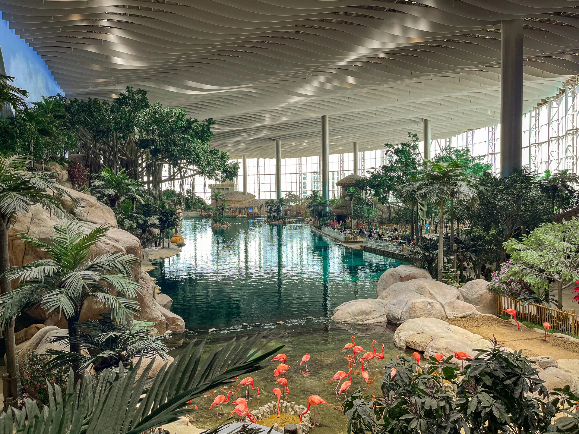 A large indoor tropical pool with clear water, lush green plants, rocks, and a group of pink flamingos in the foreground under a high, wavy ceiling. Sunlight streams through tall glass windows at the back.