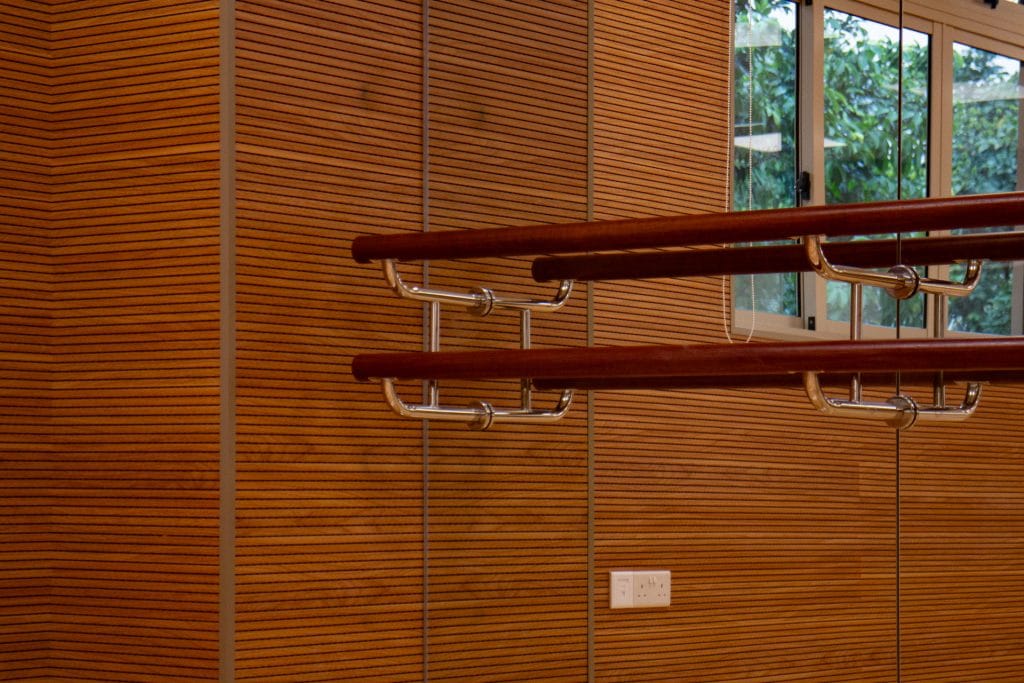 Wood-paneled wall with two metal and wood ballet barres attached, positioned near windows that show greenery outside. An electrical outlet is visible below the barres.