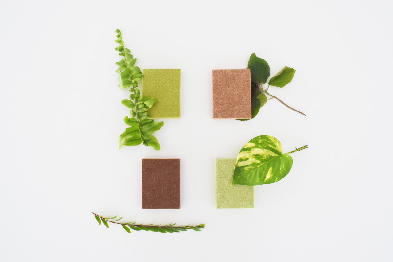 Four rectangular bars in green and brown tones are arranged on a white background, each paired with a different green leaf or plant sprig, creating a natural, minimalist composition.