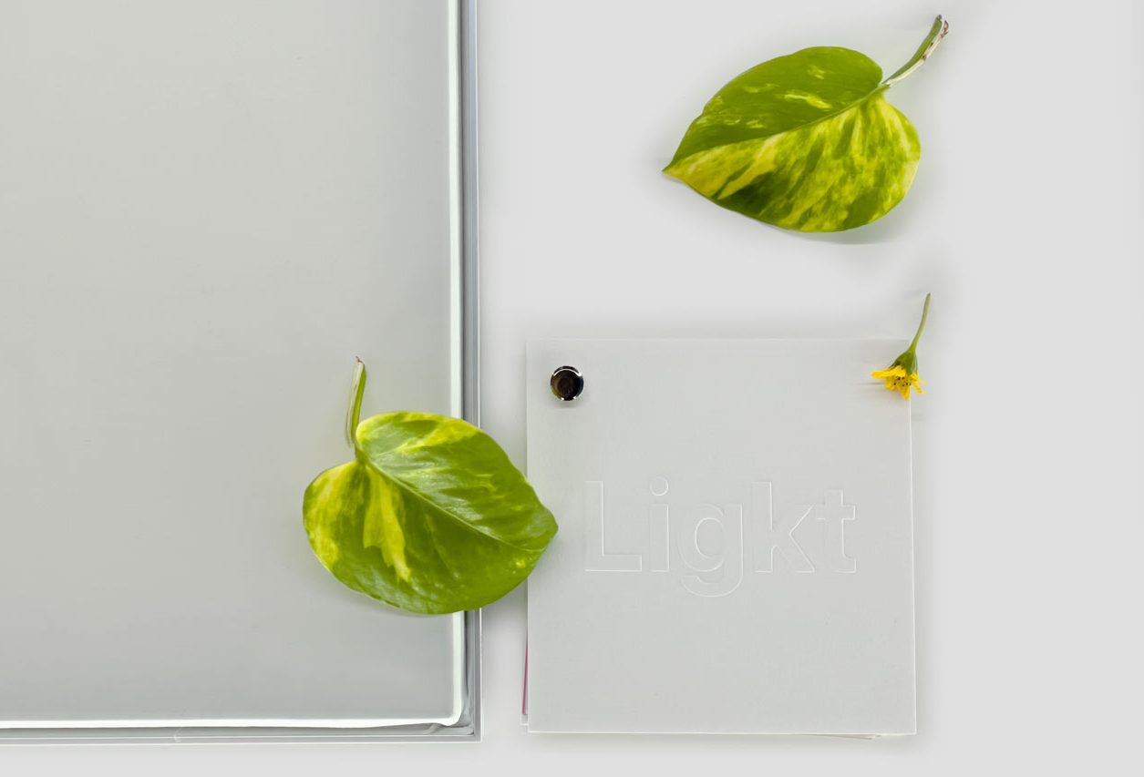 A translucent glass or acrylic tile with Light embossed on it lies near two green-yellow variegated leaves on a light gray surface. A small yellow flower is beside one leaf, and a larger glass sheet is partially visible.